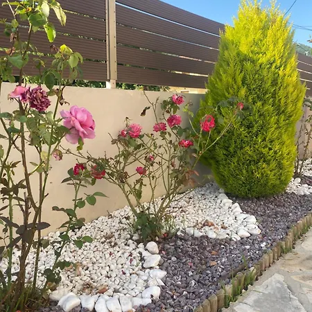 Evelina Luxury In Corfu *