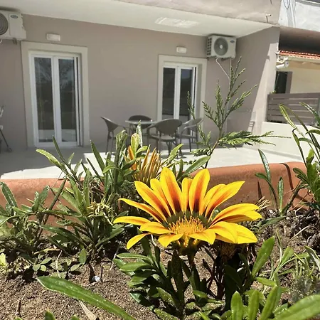 Evelina Luxury In Corfu